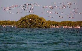 فندق فلامينجو بيتش